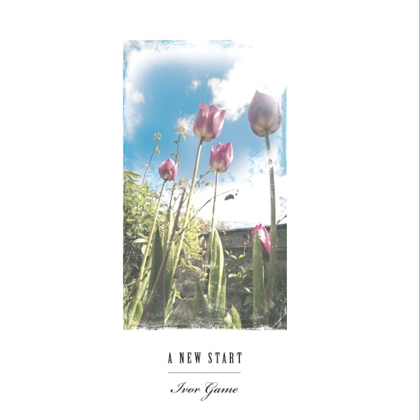 Ivor Game A New Start