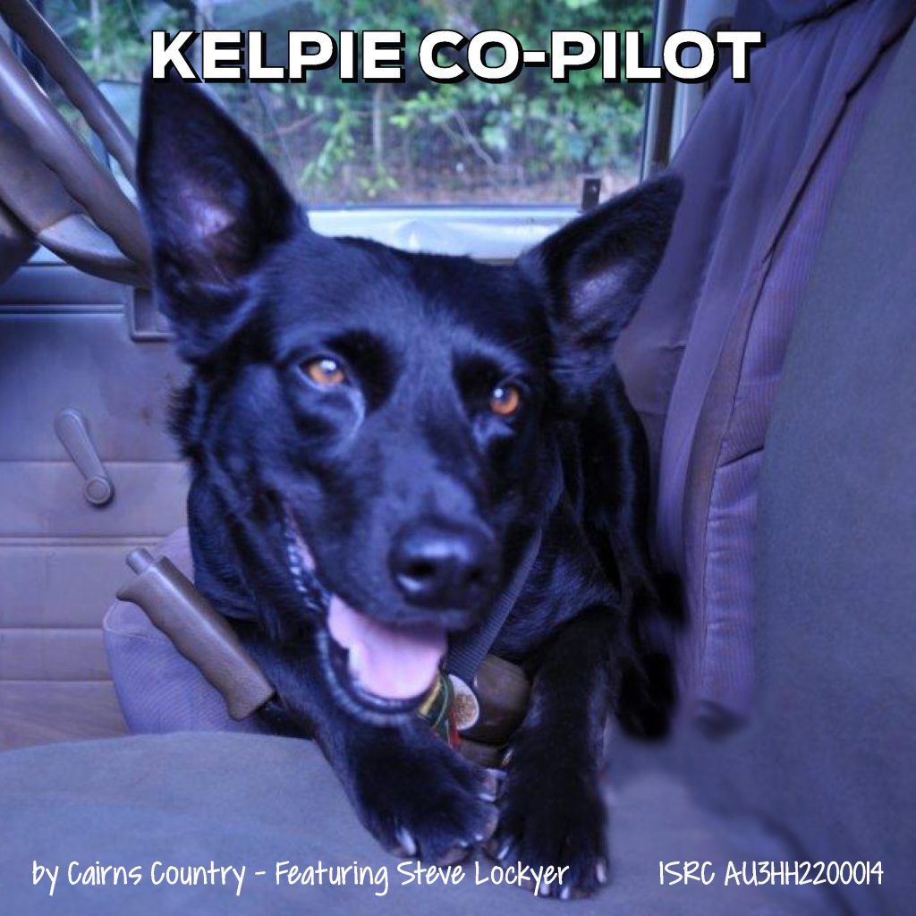 Cairns Country Kelpie Co Pilot
